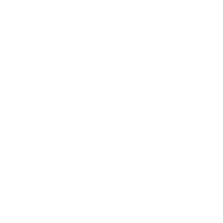 Governance & Licensing Framework